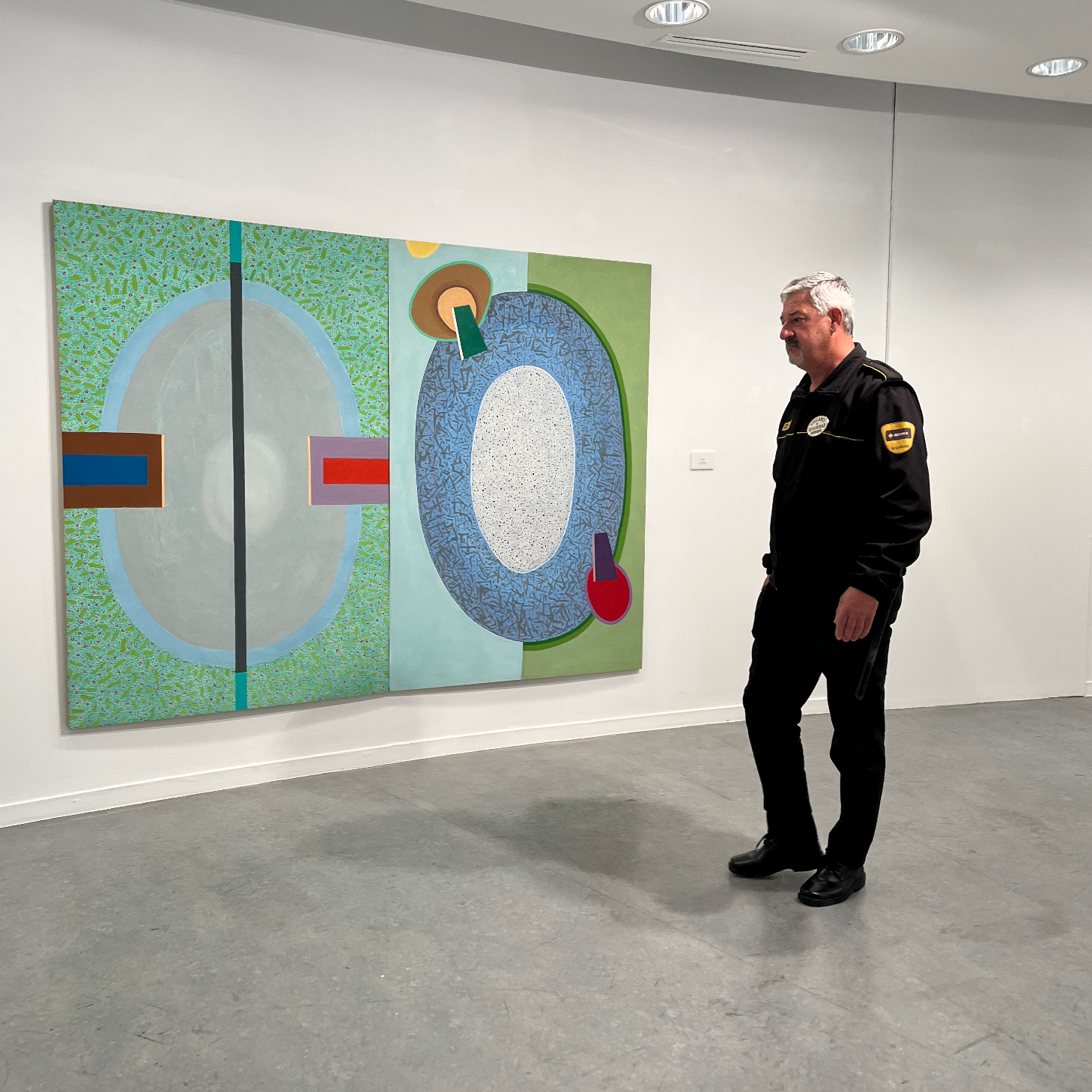 Vigilancia Museo Iberoamericano